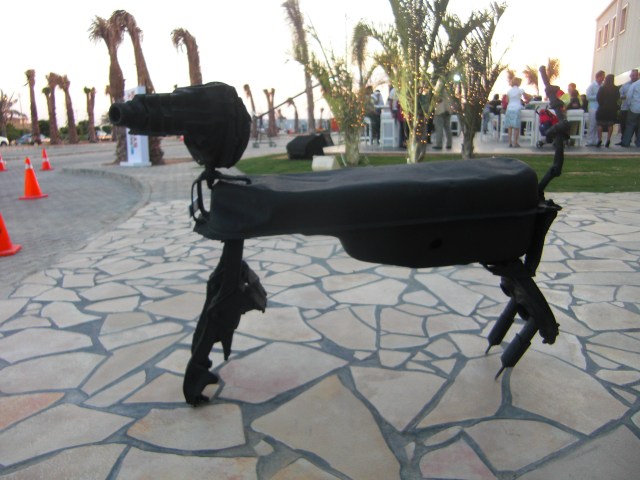 Anopis - Collected - sodic compound 6 october city Cairo, Egypt